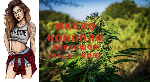 стафф Корсаков