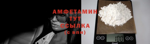 стафф Корсаков