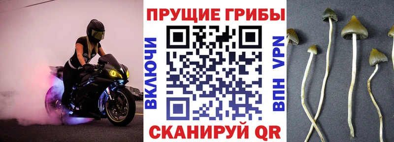 Галлюциногенные грибы GOLDEN TEACHER  Купить закладки  Комсомольск-на-Амуре 