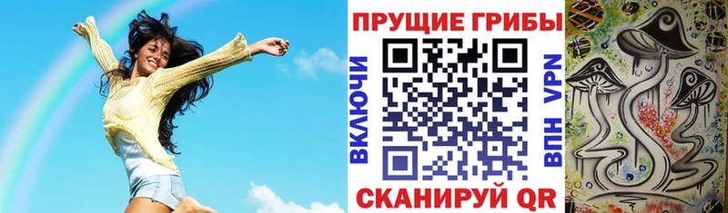 Галлюциногенные грибы Psilocybine cubensis Комсомольск-на-Амуре